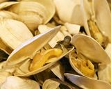 夏の大好物♡愛しのスティーマーズ作り方4写真