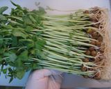 豆苗のピーナッツサラダ作り方1写真