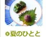 ❁夏のひとときに～赤じそ大葉の餡包み❁作り方15写真