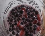 ブルーベリー酵素ドリンク作り方6写真
