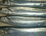母秘伝♡秋刀魚の生姜煮✧美味しいょ〜っ♬作り方1写真