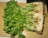 豆苗と牛肉の炒めもの作り方4写真