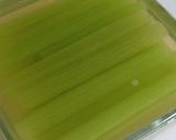 蕗のおひたし作り方4写真