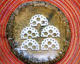 お弁当の飾りに可愛い♪「レースかまぼこ」作り方5写真