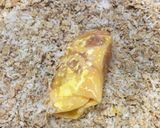 ポテトinチーズ♡豚ロース巻フライ♡作り方19写真