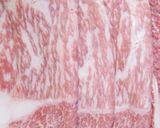 肉マニア考案の牛丼！肉をがっつきまくれ！作り方1写真