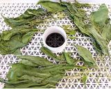 ほうれん草パウダー化｜食品乾燥機～製粉機作り方2写真