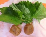 大葉と梅肉の鶏ボール唐揚げ♪作り方1写真