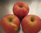自慢のアップルパイ作り方1写真
