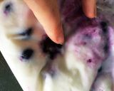 材料3つ！ブルーベリーヨーグルトのアイス作り方4写真