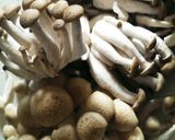 冷凍そのまんまぶなしめじ♪作り方2写真