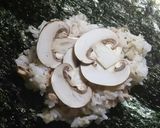 ツナご飯と梅マヨネーズのおにぎらず作り方5写真