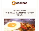 簡単本格★大葉でもできるガパオライス作り方8写真