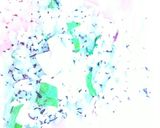 カラフルおにぎり♥チーズハム大葉ゆかり❇作り方2写真