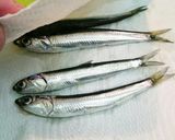 釣ったイワシをメザシ(干物)にしよう作り方10写真