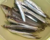 釣ったイワシをメザシ(干物)にしよう作り方12写真