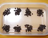 運動会のおやつ♪甘じょっぱいチョコ塩パン作り方3写真