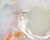かにを食べ尽くせっ！カニの殻のみそ汁！作り方8写真