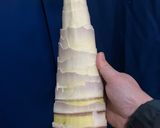 簡単　たけのこでメンマ作り作り方2写真