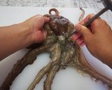 タコのさばき方作り方1写真