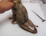 タコのさばき方作り方2写真