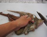 タコのさばき方作り方11写真