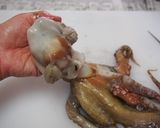 タコのさばき方作り方6写真