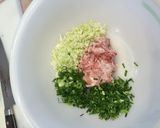 お好み焼きの材料でぎょうざ！作り方3写真