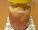 イチジクの自家製天然酵母作り方5写真