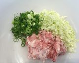 お好み焼きの材料でぎょうざ！作り方2写真