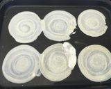 お好み焼きの材料でぎょうざ！作り方8写真