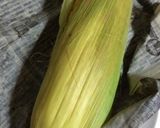 超簡単..本物コーン.Rial Corn作り方17写真
