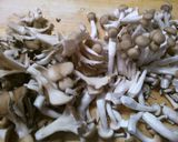 簡単!豆腐ハンバーグ 和風きのこソース♪作り方4写真