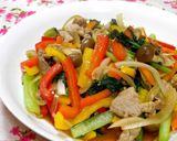 豚肉と彩り野菜のオイスターソース炒め✿作り方9写真