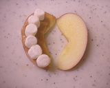 apple dentures作り方3写真