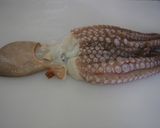 タコの塩揉み作り方9写真