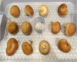 食品乾燥機で干し椎茸作り作り方2写真