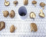 食品乾燥機で干し椎茸作り作り方3写真