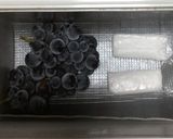 炭酸入りシュワシュワフルーツ作り方1写真