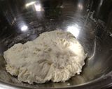 グリーンレーズン自家製酵母液で元種作り作り方8写真