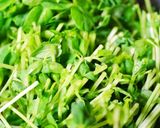 豆苗とじゃがいものエスニック炒め作り方2写真