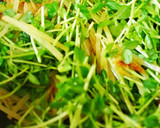 豆苗とじゃがいものエスニック炒め作り方6写真