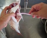 鯛のさばき方作り方18写真