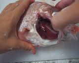 鯛のさばき方作り方9写真