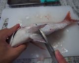 鯛のさばき方作り方6写真