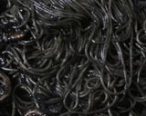 スペイン式イカ墨のスパゲティー作り方13写真