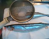 秋刀魚の美味しい焼き方・盛付け方作り方3写真