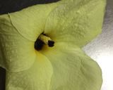 オクラの花の青しそドレッシング和え作り方3写真