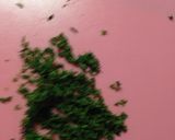 皮なしソーセージ作り方2写真