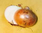 簡単裏技☆時短10秒で。玉ねぎの皮むき完了作り方1写真